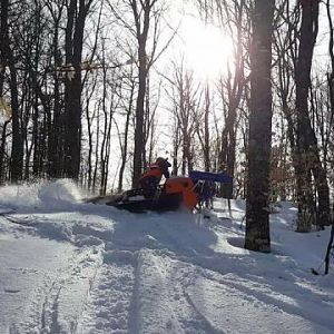 Seney In The Trees 3-25-17