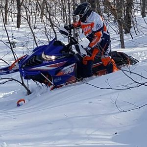 Seney In The Trees(2) 3-25-17