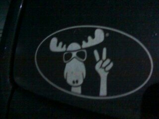 moose