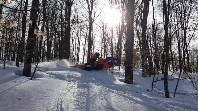 Seney In The Trees 3-25-17