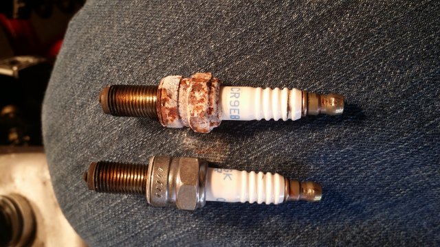 spark plugs