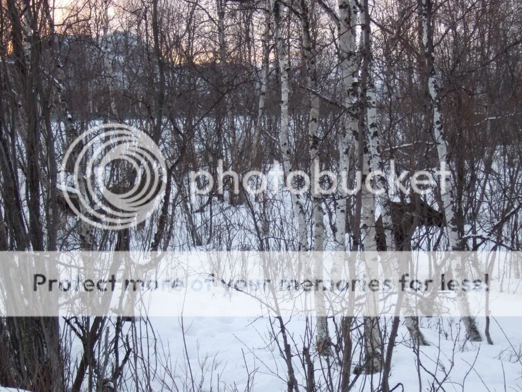 2009_03210047.jpg