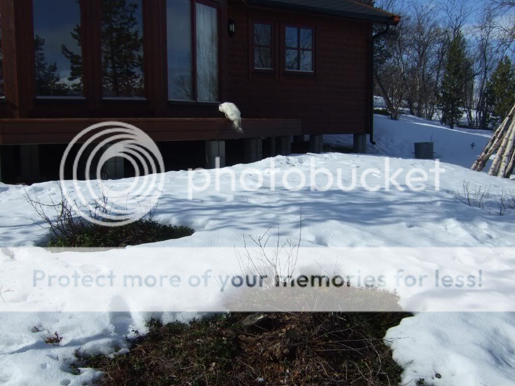 DSCF1823.jpg