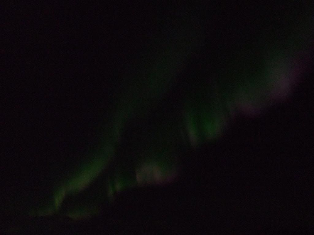 DSCF3900.jpg