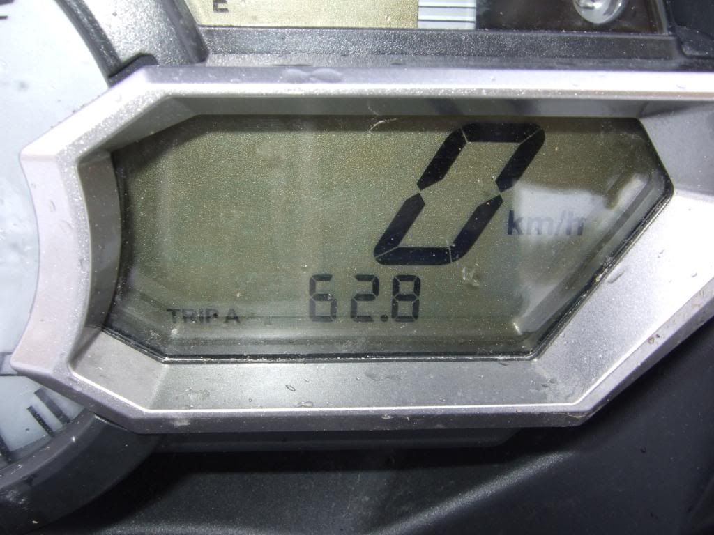DSCF4229.jpg