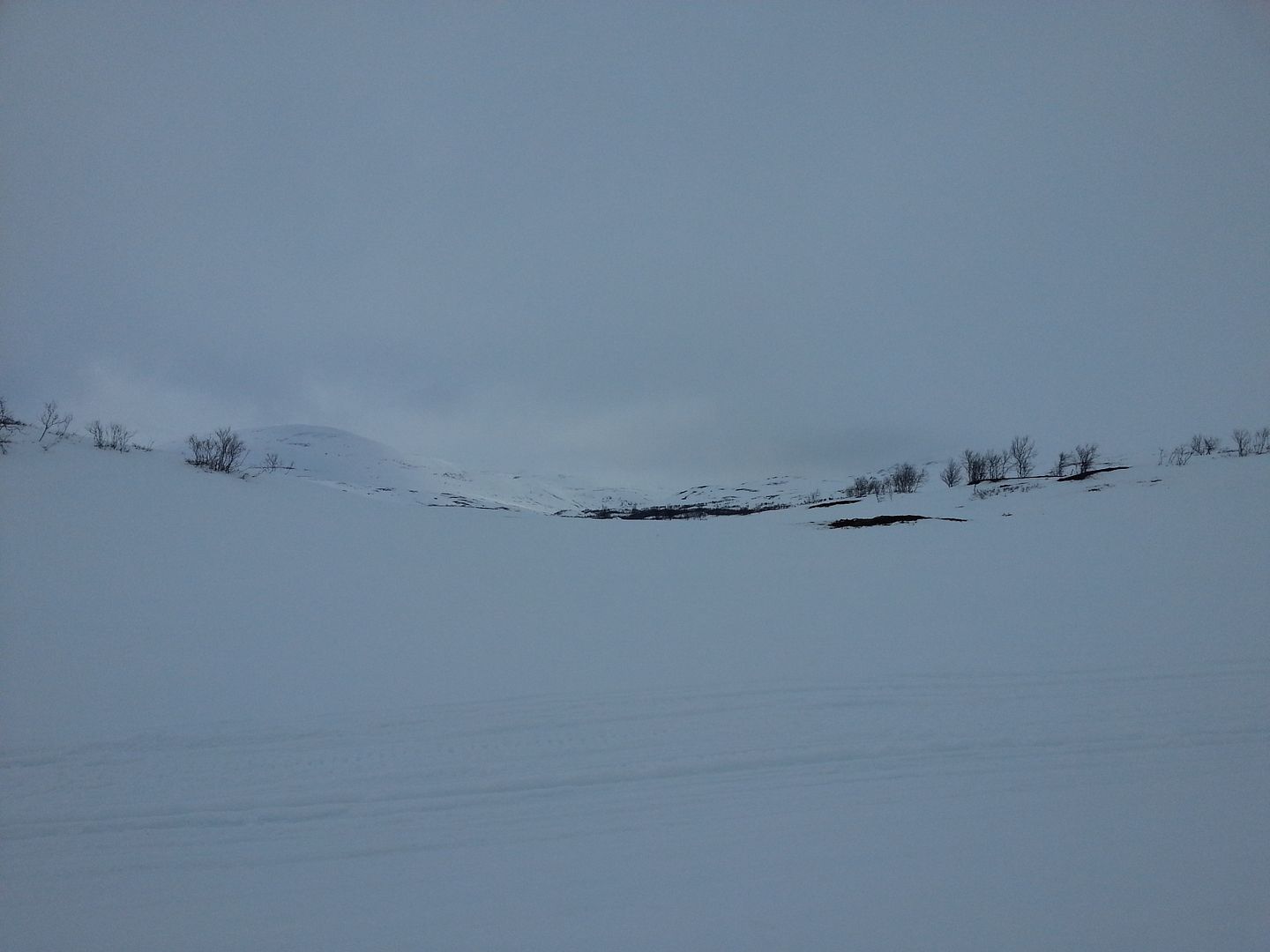 2015-04-18%2013.37.35.jpg