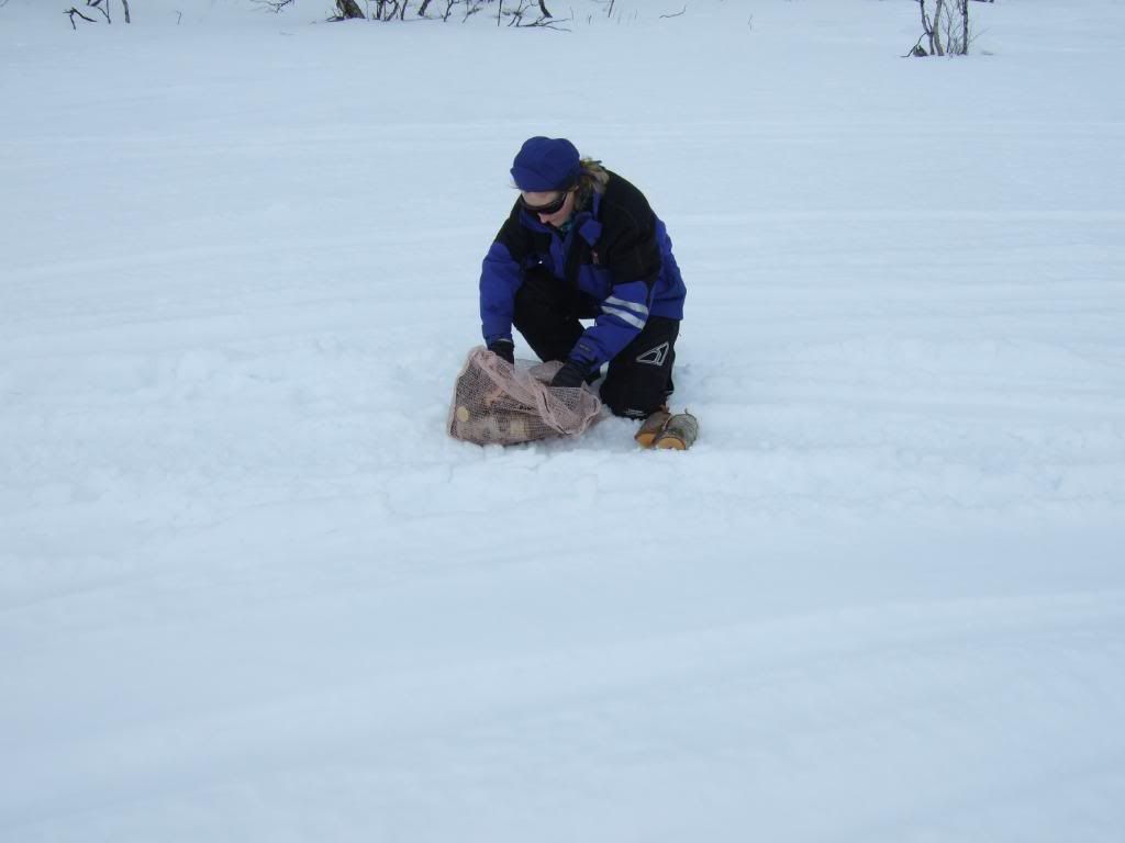 DSCF4149.jpg