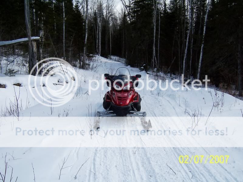 RabbittrailtoBowLakeandEcourttrail.jpg