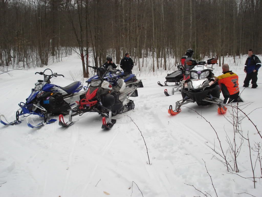 DSC01167-1.jpg