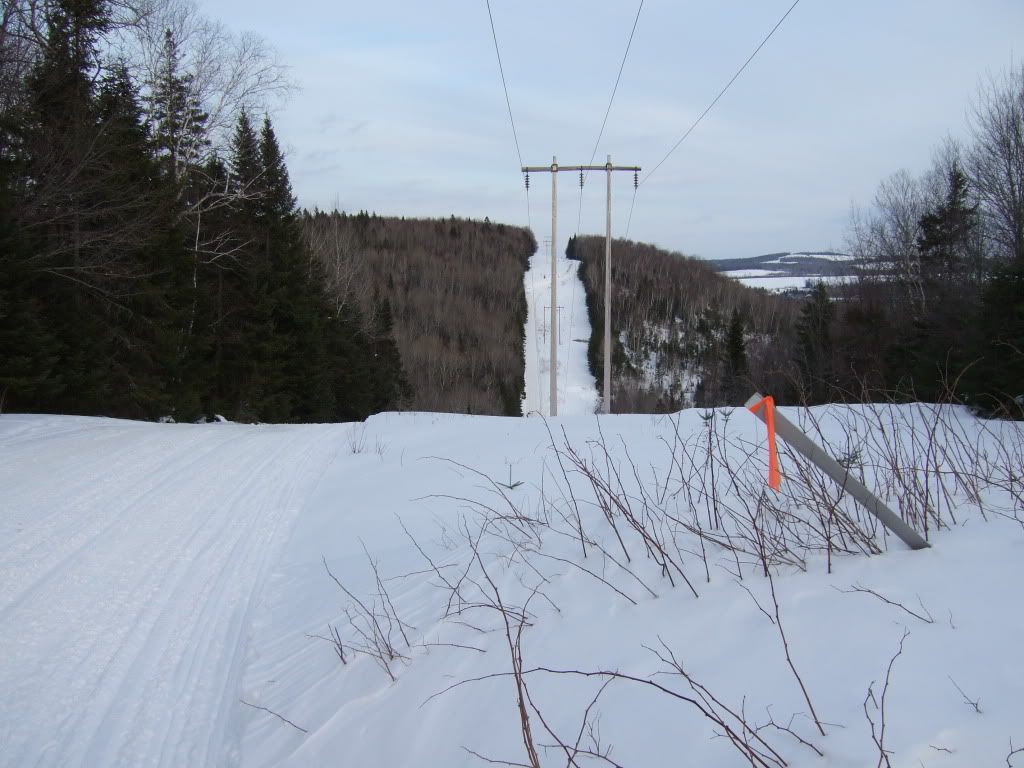 DSCF3725.jpg