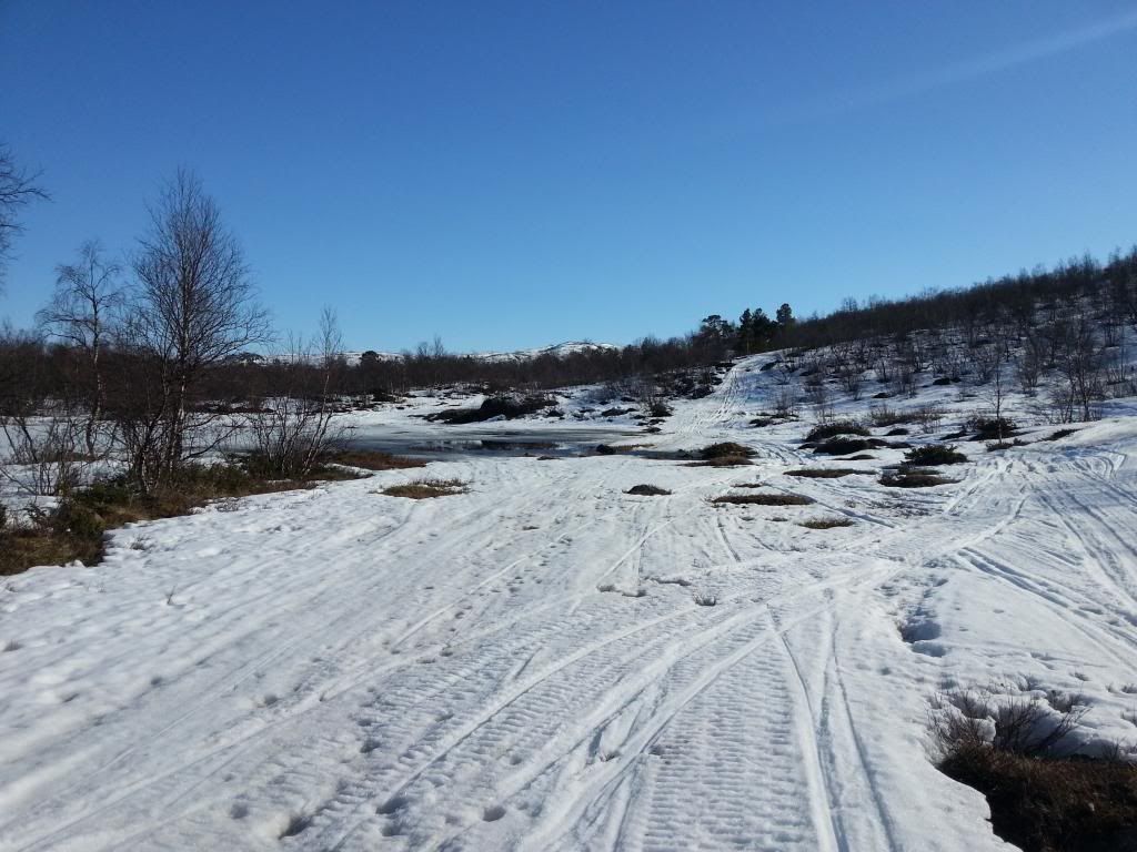 2014-05-11164023.jpg