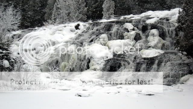 IMG_2068.jpg