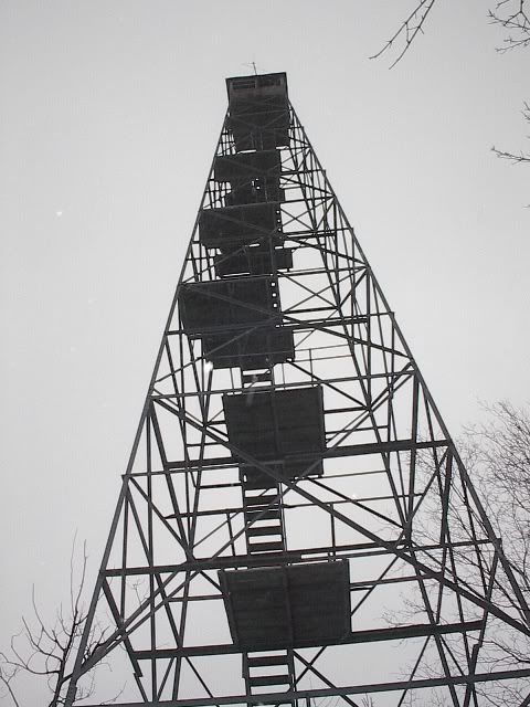 firetower.jpg