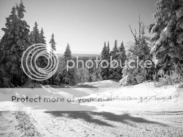 BWQuebecSnowmobiling4.jpg