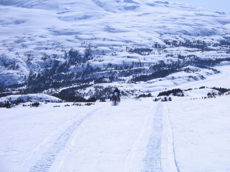 NellieJaun4-10-08013.jpg