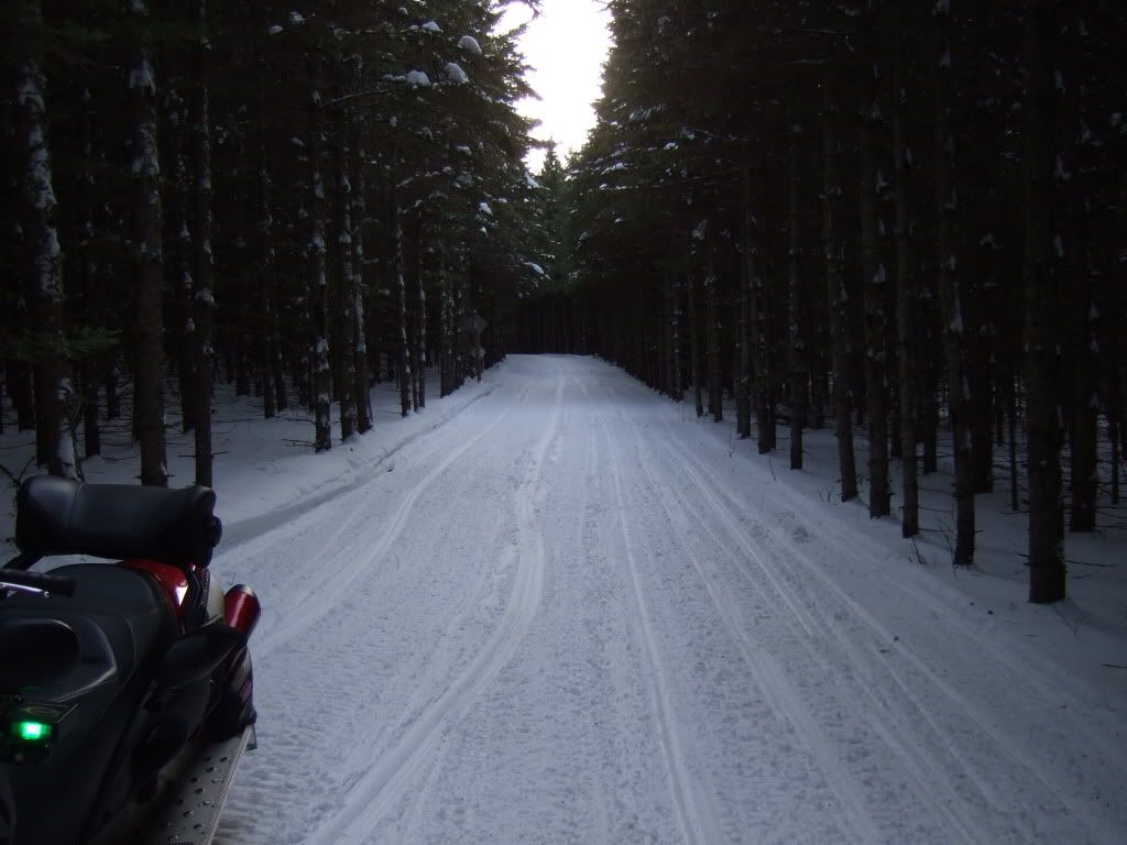 DSCF3723.jpg