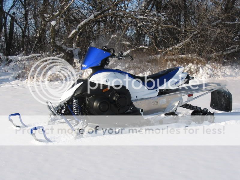 IMG_0950.jpg