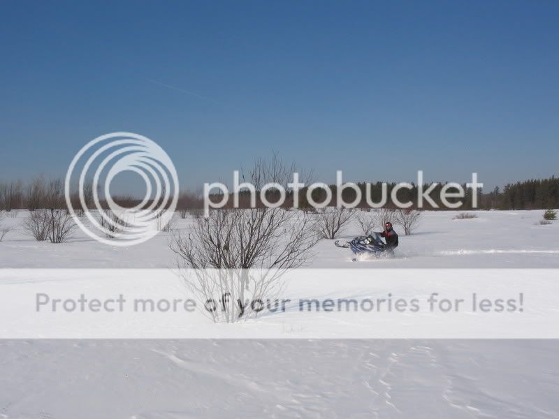 IMG_0995.jpg