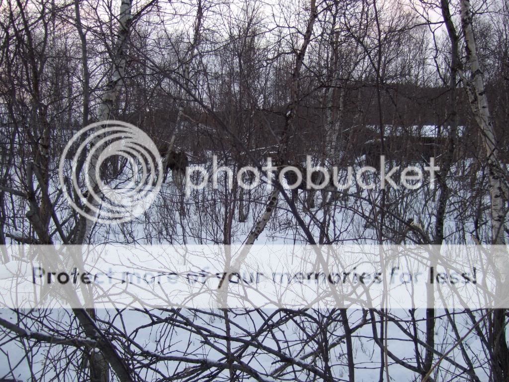 2009_03210048.jpg