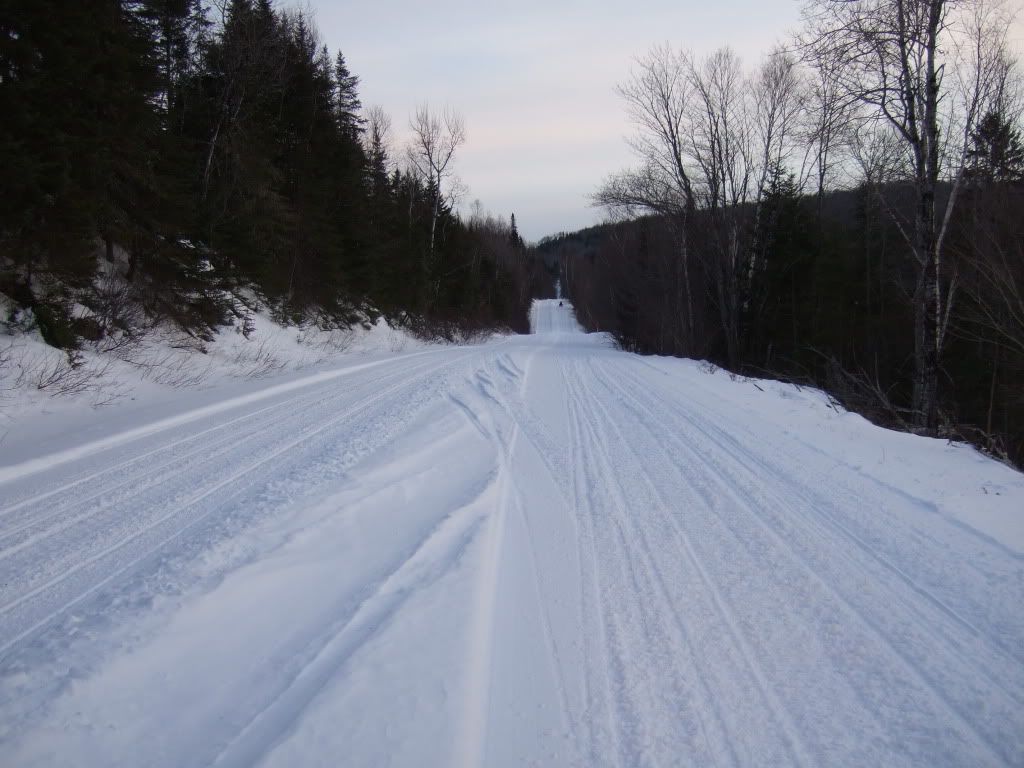 DSCF3731.jpg