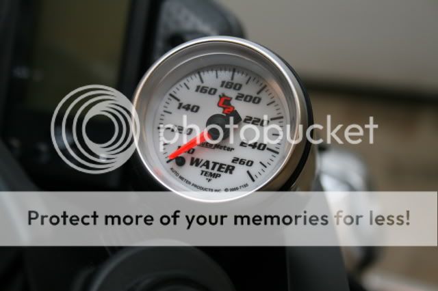 IMG_3626.jpg