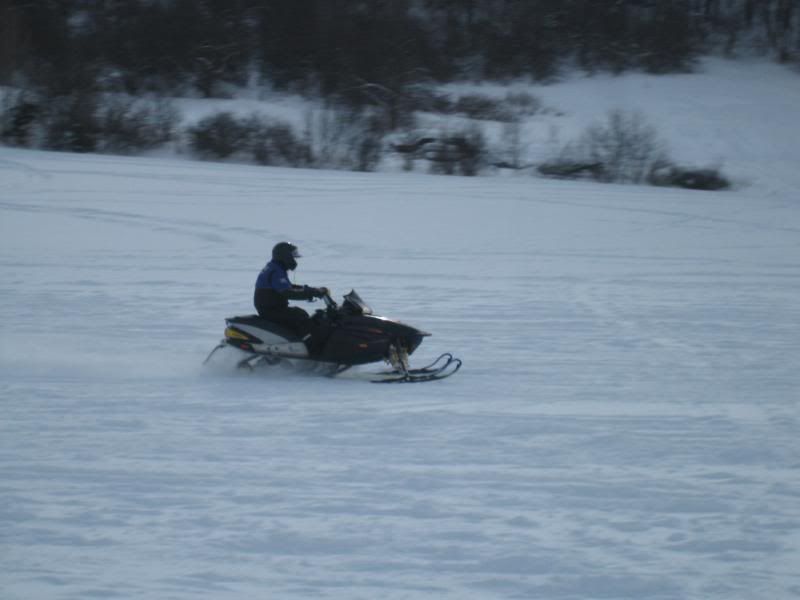 IMG_2242.jpg