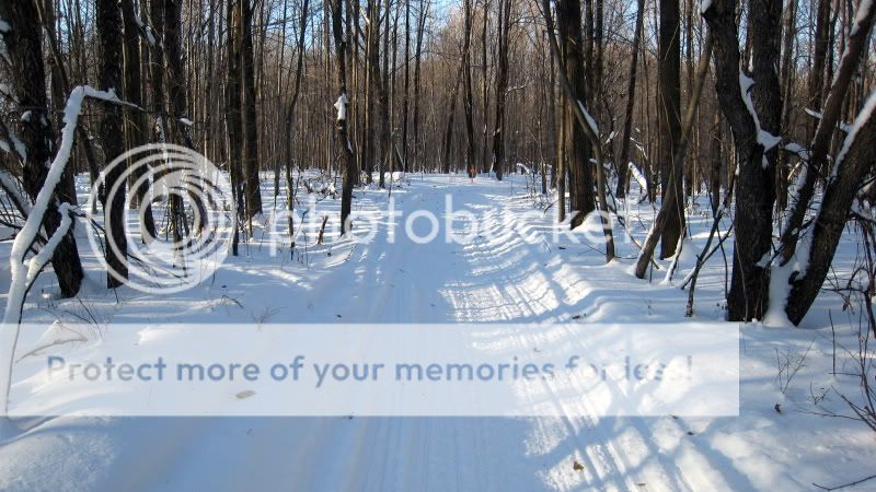 IMG_2119.jpg
