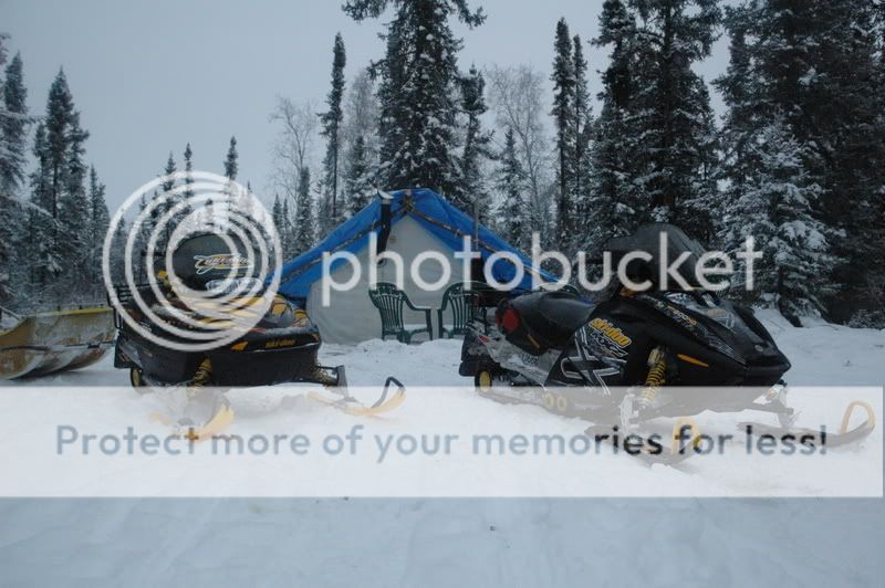 DSC_0345.jpg