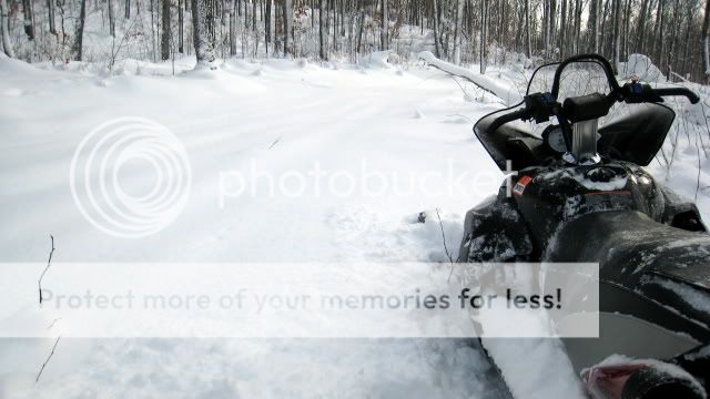 IMG_2095.jpg