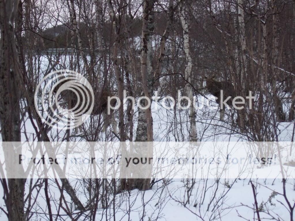 2009_03210051.jpg