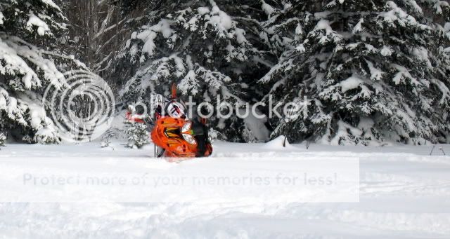 IMG_2094.jpg