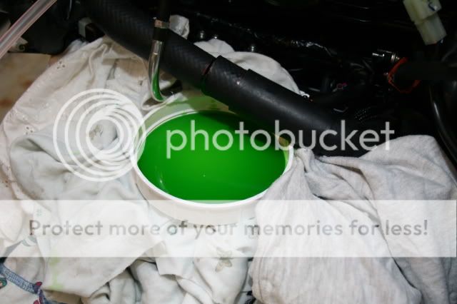 IMG_3339.jpg