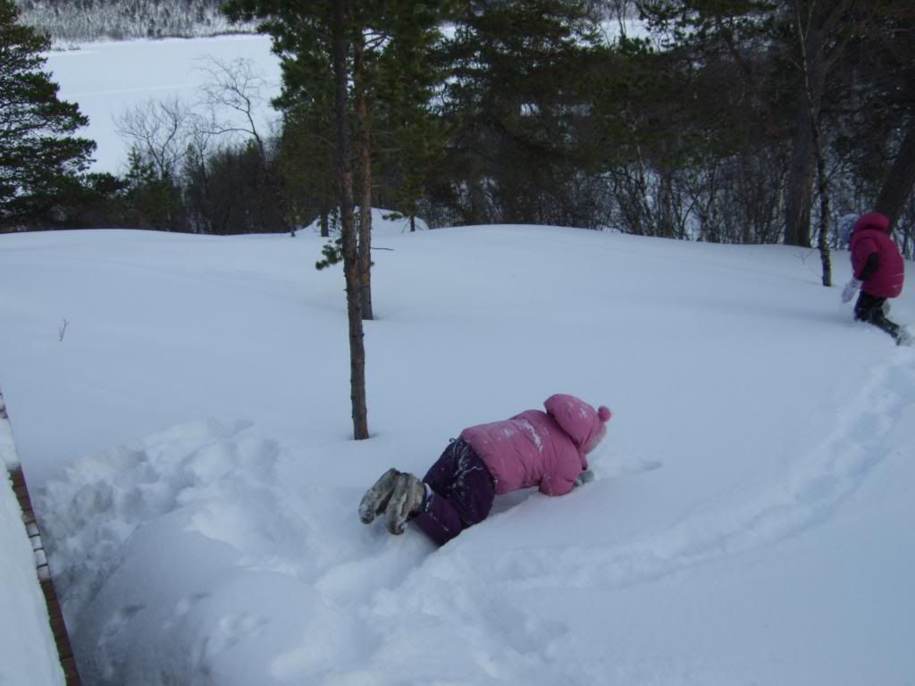 DSCF3852.jpg