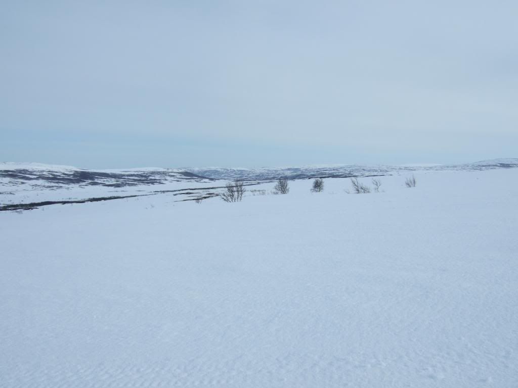 DSCF4238.jpg