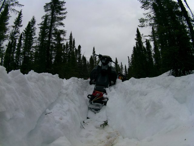Cochrane 2015 031.JPG